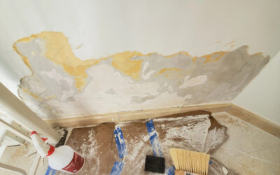 Remodeling Tips – A Guide for Repairing Plaster Walls…