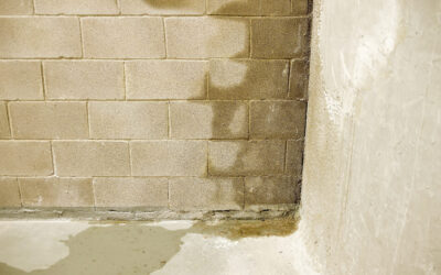 How To Prevent Moisture Issues Before Remodeling Your Basement…